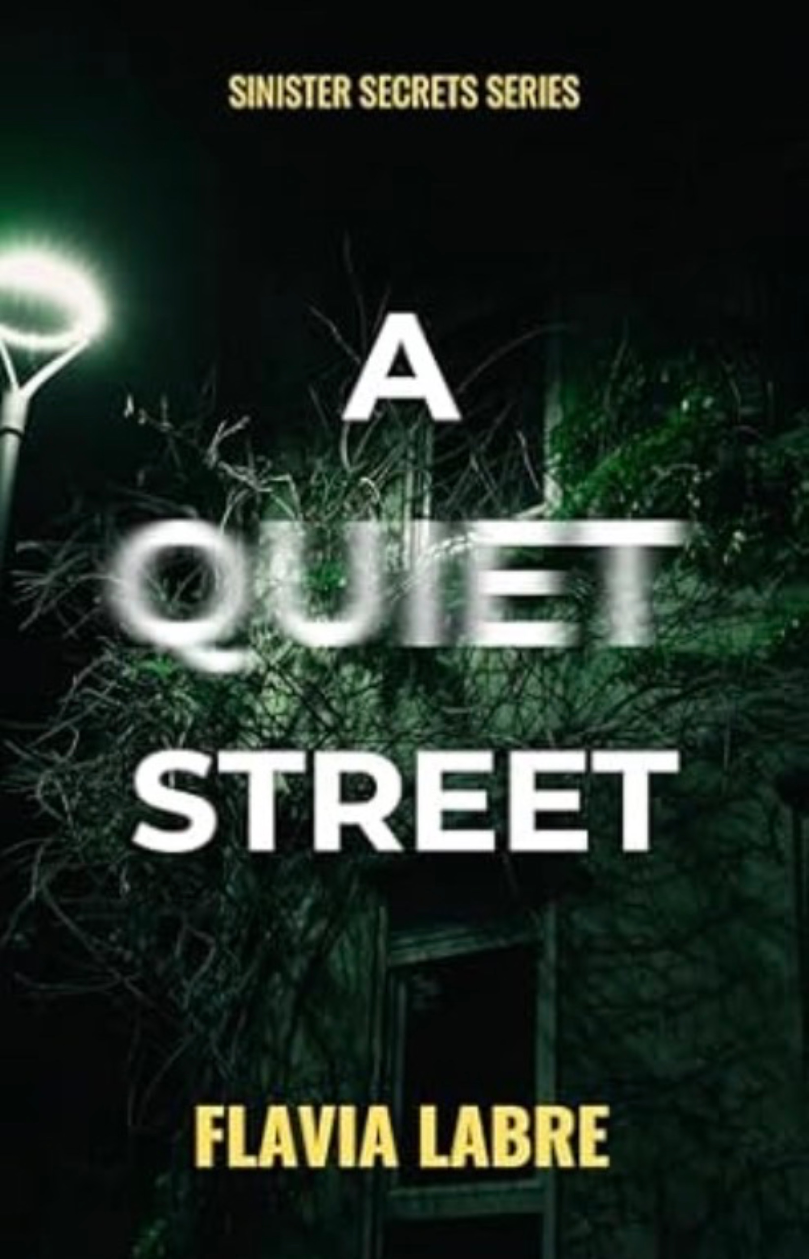 A Quiet Street: A Psychological Thriller Short Story (Sinister Secrets Series Book 2)