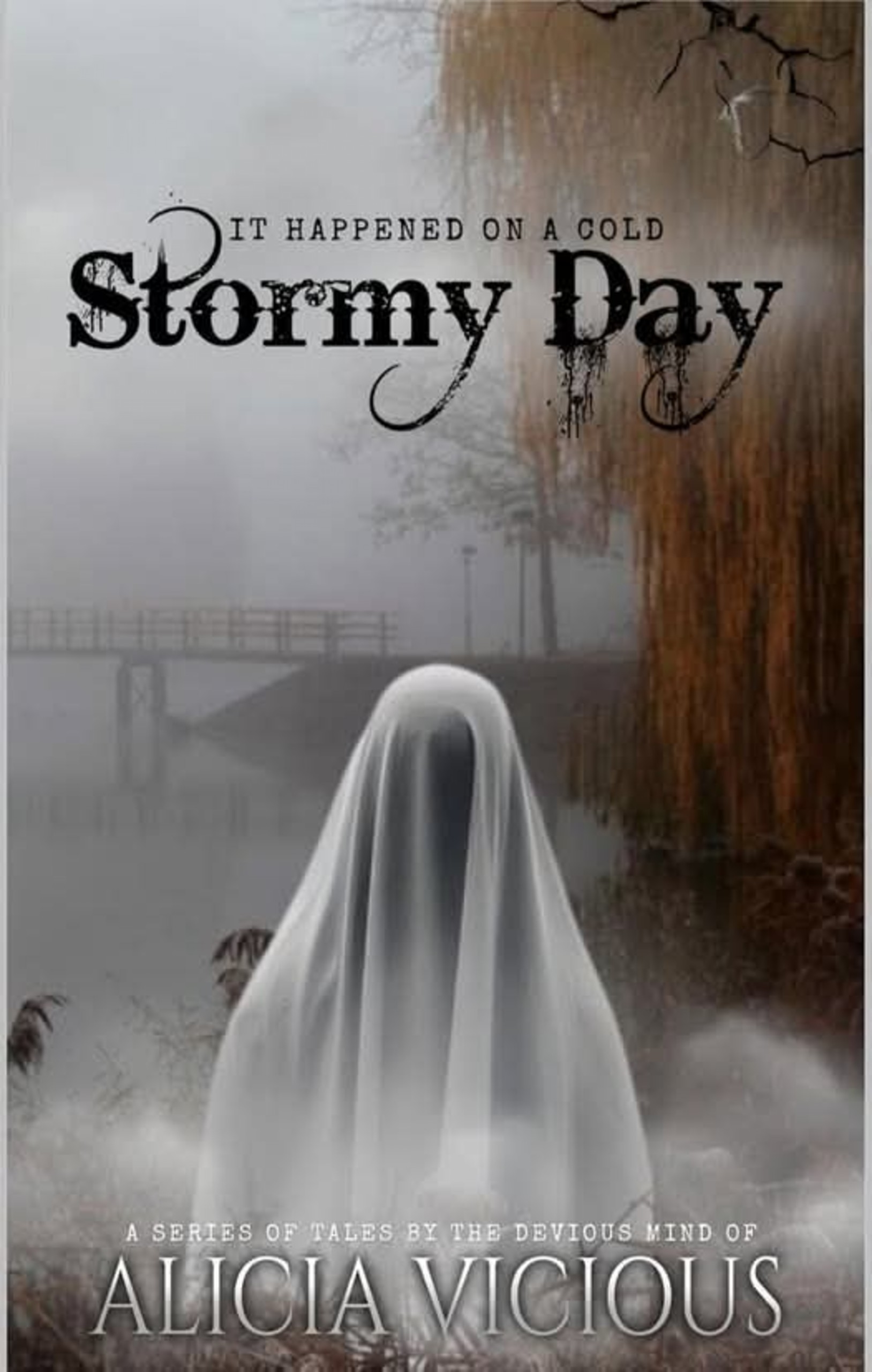 It happened on a cold stormy day
