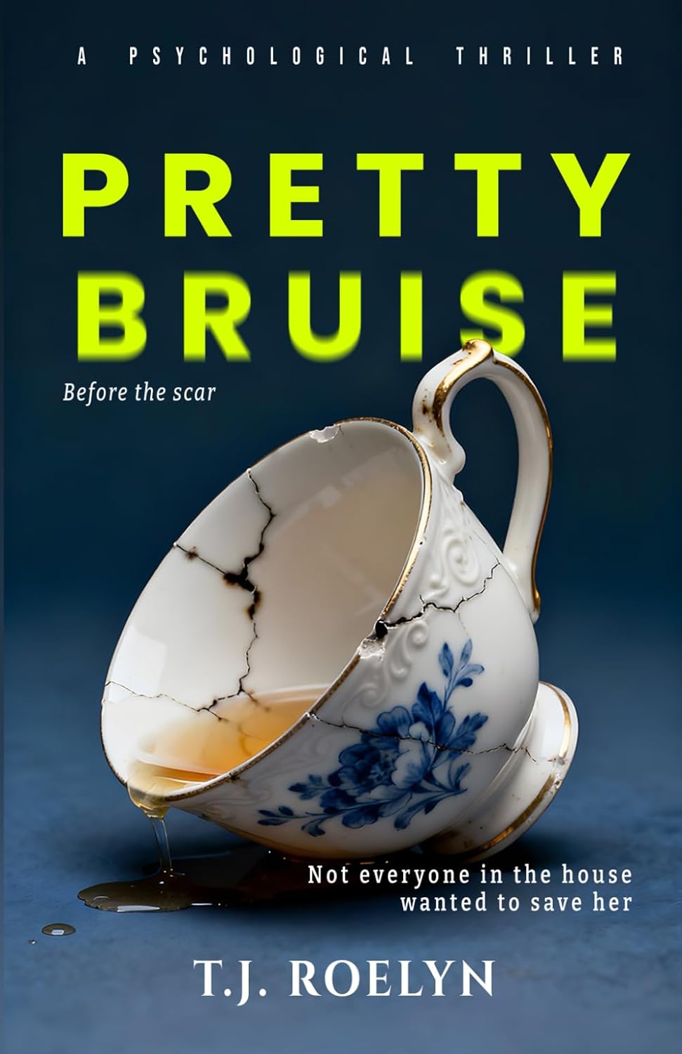 Pretty Bruise (Pretty Series Book 1)